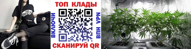 Купить закладку Псилоцибиновые грибы  COCAIN  Гашиш  Мефедрон  Каннабис  APVP  Туапсе