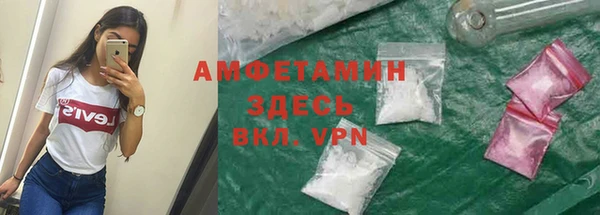 сатива Балахна