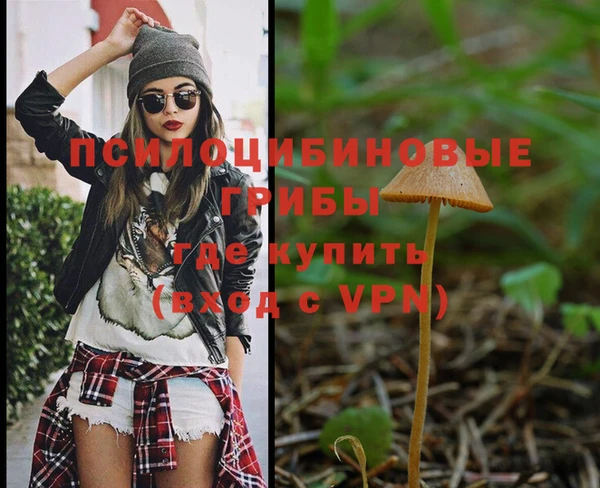 мяу мяу мука Балабаново